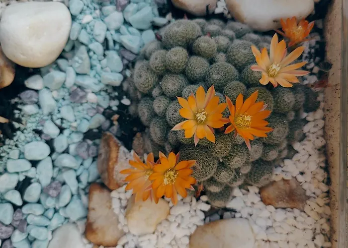 9-4 Private Nyaraló *