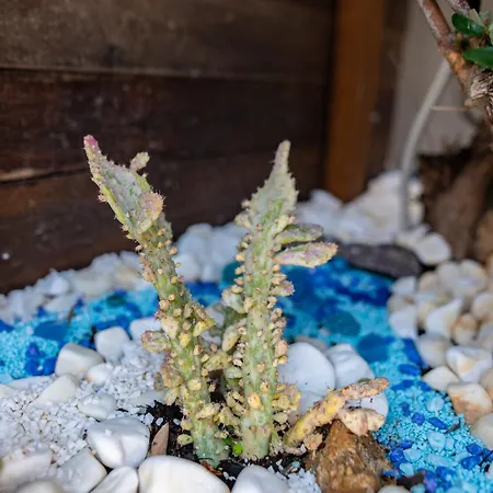 9-4 Private Σπίτι διακοπών