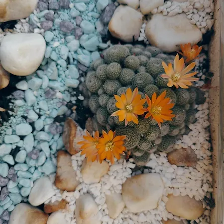 9-4 Private 펜션 *